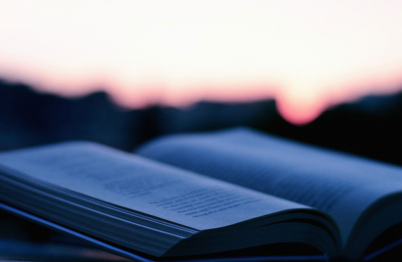 Self publisher