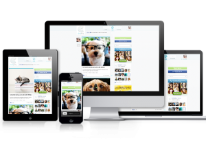 Responsive Joomla Templates
