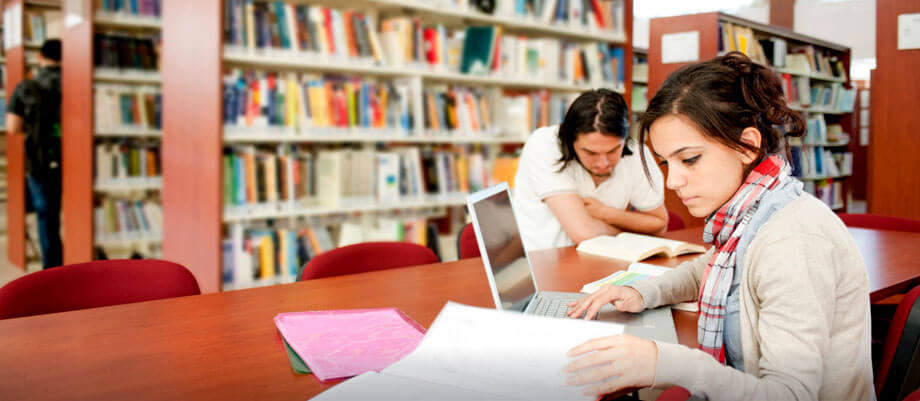 professional essay writer