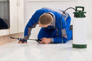 Pest Control Services