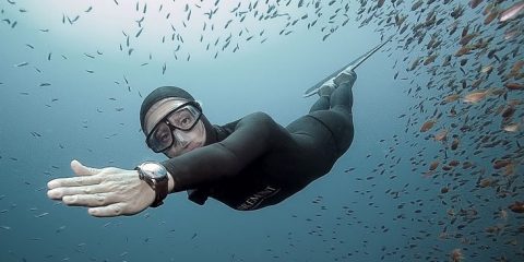surf podcasts