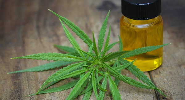 King of CBD Oils